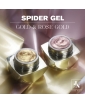 Jana Nails spider gelis dizainams (Gold)