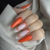 copy of Jana nails geliniai lakai dėžutėje